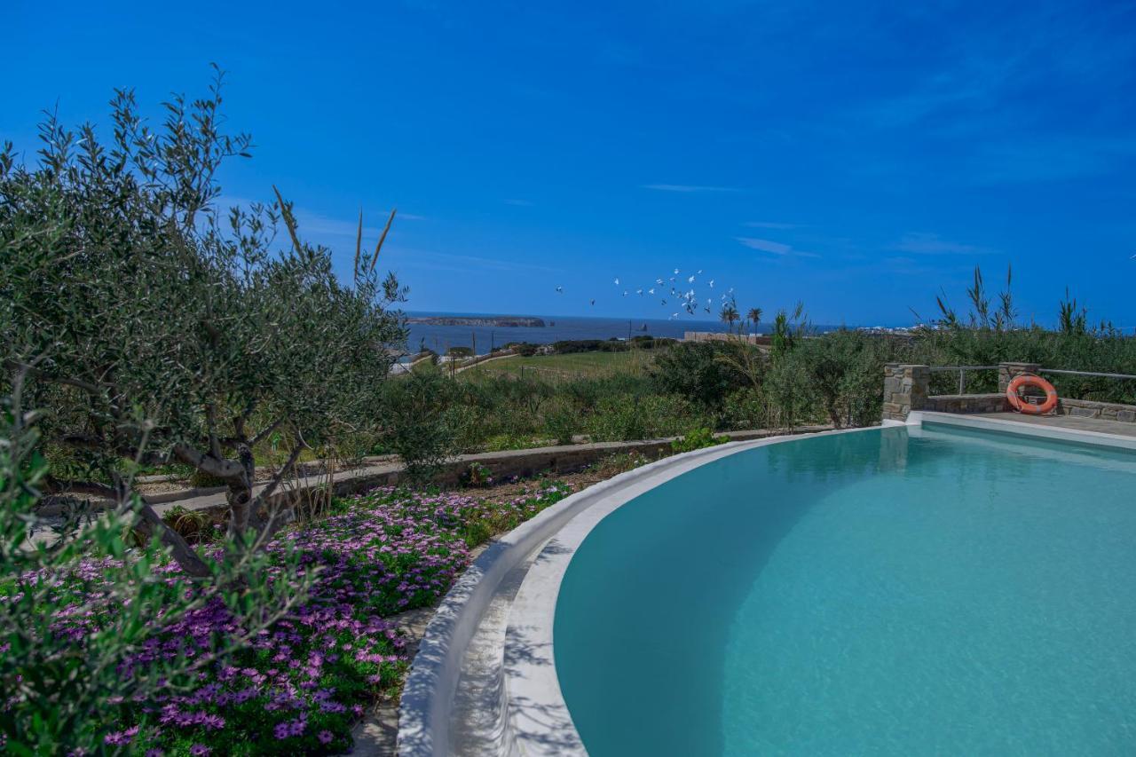 Anthemion Paros - Villas & Suites Agia Irini  Exteriér fotografie