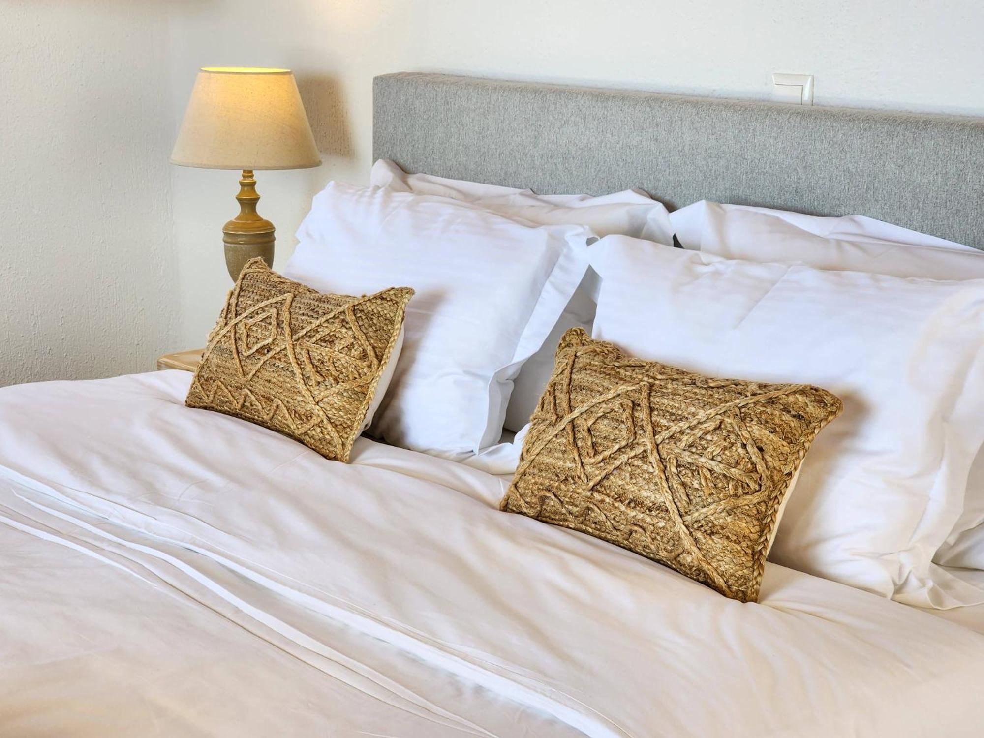 Anthemion Paros - Villas & Suites Agia Irini  Exteriér fotografie